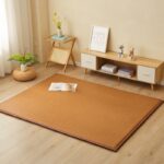 2023年12月 许65995